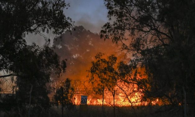 New Israeli AI system detects wildfires within minutes using sound sensors – interview