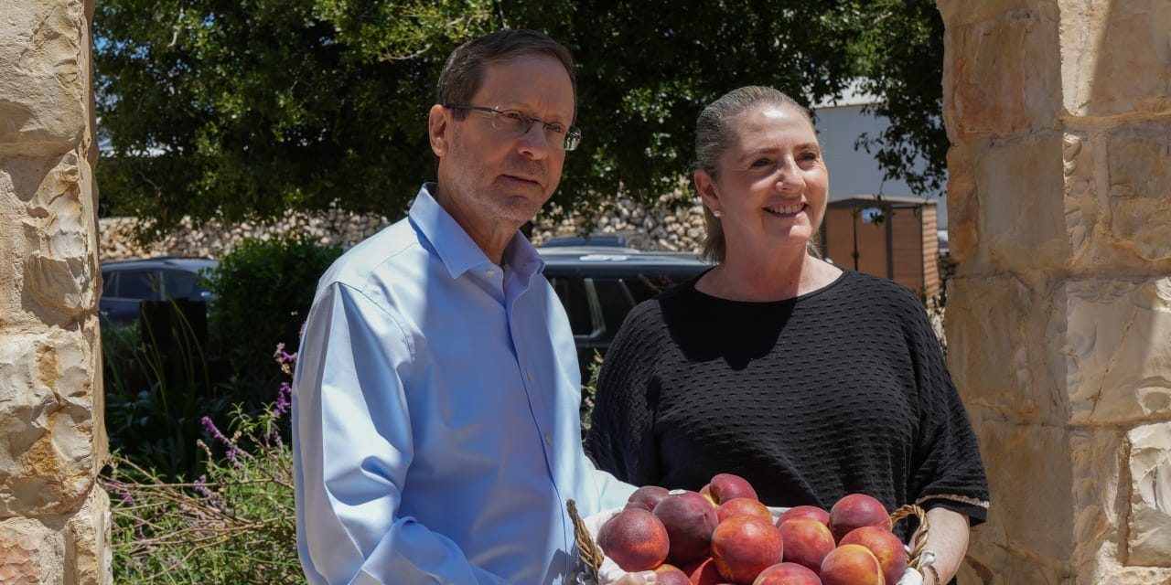 Grapevine, June 24, 2026: Reliving the nightmare – opinion