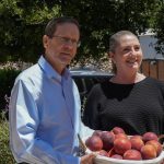 Grapevine, June 24, 2026: Reliving the nightmare – opinion