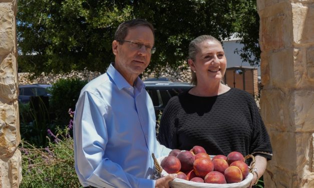 Grapevine, June 24, 2026: Reliving the nightmare – opinion