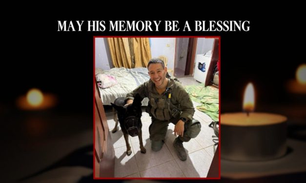 Hezbollah terrorist kills IDF officer, wounds another soldier, during southern Lebanon operation
