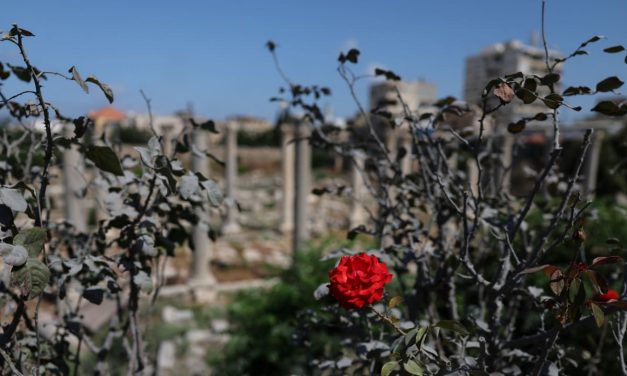 Moving past a ceasefire: Recognizing Israel is a big step, but ‘normal,’ says Lebanese diplomat
