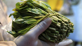 Two Israeli women arrested in Poland with 50 kilograms of khat in suitcases