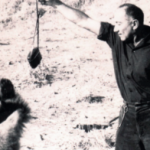 The Mossad’s secret bear: How a Kurdish rebel gift became an Israeli mystery
