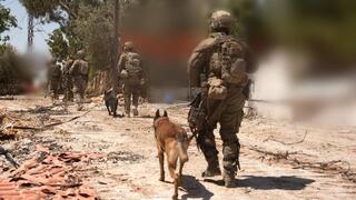 Hezbollah regroups as Israel holds fire under Lebanon ceasefire