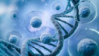 Scientists edited DNA in human embryos; the breakthrough is real, but so are the risks
