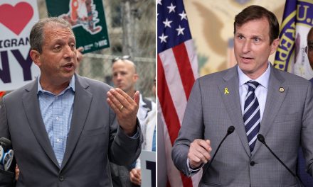 Lander challenges the incumbent Goldman in NY’s 10th District