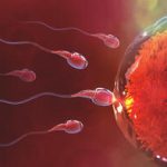 Men, these small habits may be hurting your fertility
