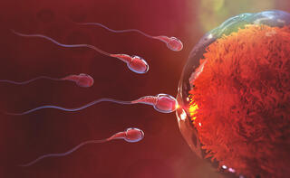 Men, these small habits may be hurting your fertility