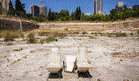 Ancient Muslim graves and rare toads: The fight over renovating Jerusalem’s Mamilla Pool