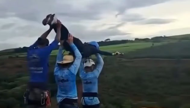 Brazil instructors questioned after woman thrown from bridge without safety rope