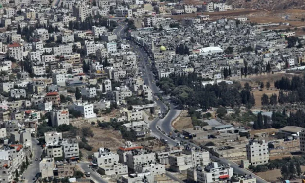 Lost in Translation: What Mohsen Mahdawi is really saying