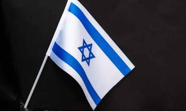 World Cup drama: Egypt manager lunges at fan waving Israeli flag after loss