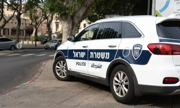 Terrorist attempting to stab officer eliminated