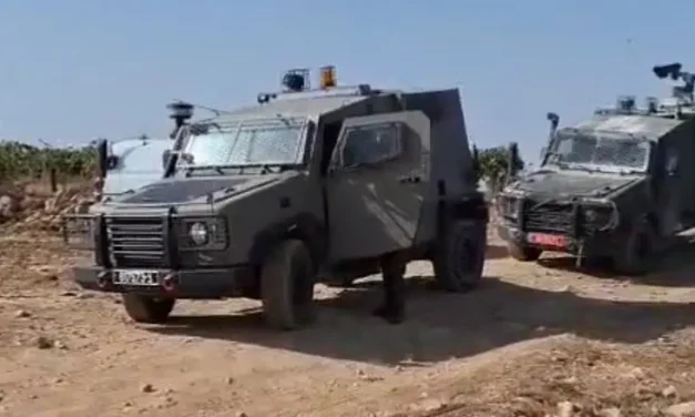 Extreme left-wing activist rams two in Gush Etzion