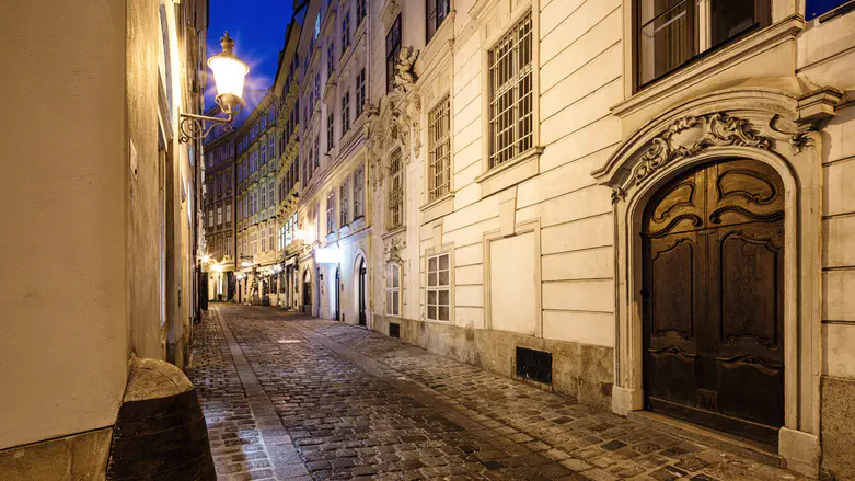 Jewish-Austrian artist Alon Yishai assaulted during Vienna protest incident