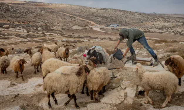 Court orders activist to pay over ‘poisoned wells’ post