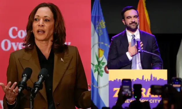 Kamala Harris holds talks with Mamdani and left-wing activists ahead of potential 2028 bid