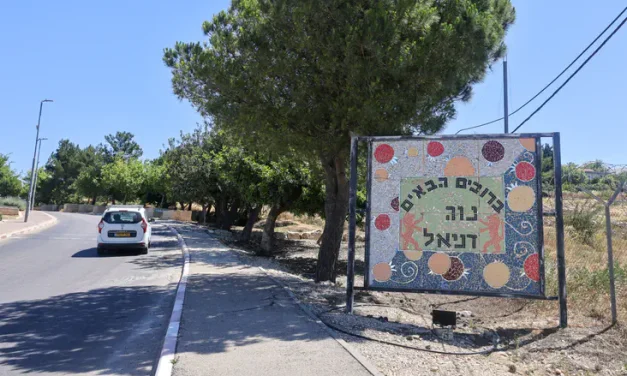 Teen terrorist: ‘I wanted to die a martyr’