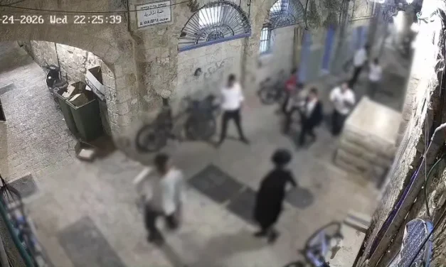 Watch: Axe attack attempt sparks calls for immediate arrest