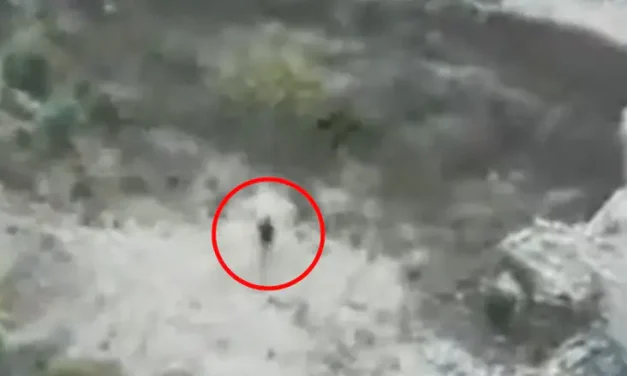 Watch: Terrorist eliminated following pursuit