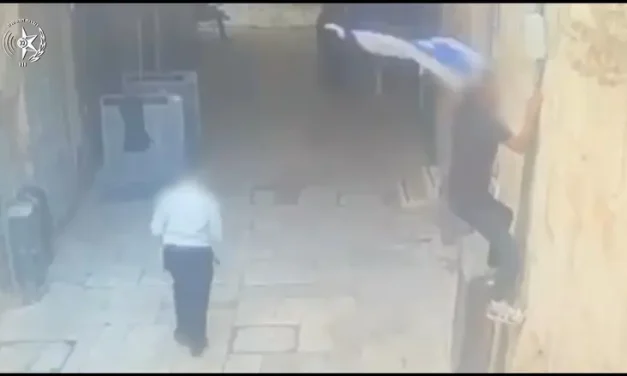 Outrageous incident caught on camera: Suspect tears down Israeli flag near Western Wall