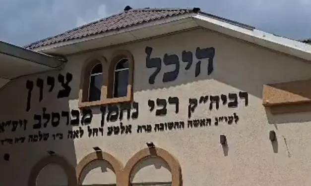 Watch: Underground chamber discovered in Uman