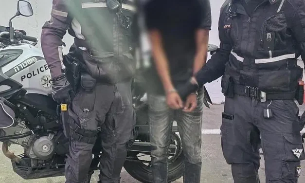 Bus driver’s quick thinking leads to arrest of illegal resident