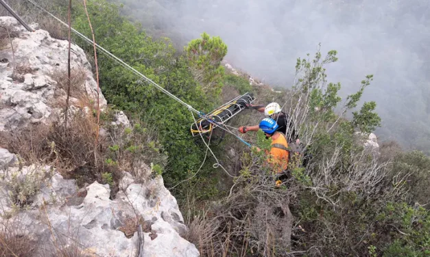 Driver survives 15-meter plunge from cliff in Carmel Park