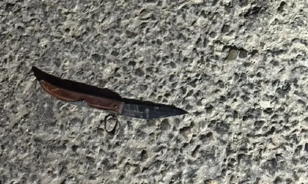 Tries to infiltrate, draws a knife: Border Police neutralize terrorist at Rachel Crossing