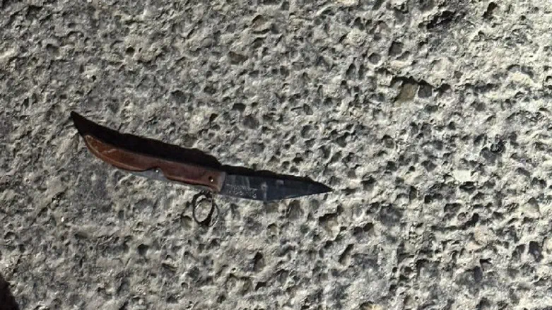 Tries to infiltrate, draws a knife: Border Police neutralize terrorist at Rachel Crossing
