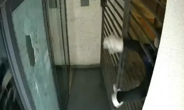 Watch: Vandal smashes Haaretz door