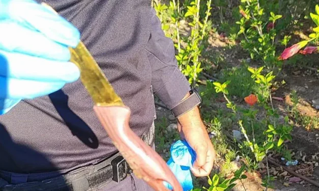 Watch: Palestinian woman caught trying to hide knife at checkpoint