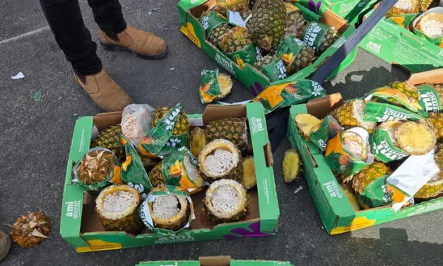 Watch: COGAT thwarts attempt to smuggle cigarettes in pineapples