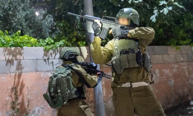 Watch: IDF troops raid dozens of buildings in Jenin