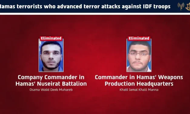 IDF eliminates Hamas commanders in Gaza