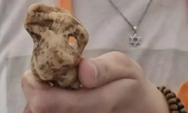 Rare Second Temple finds unearthed at Shiloh