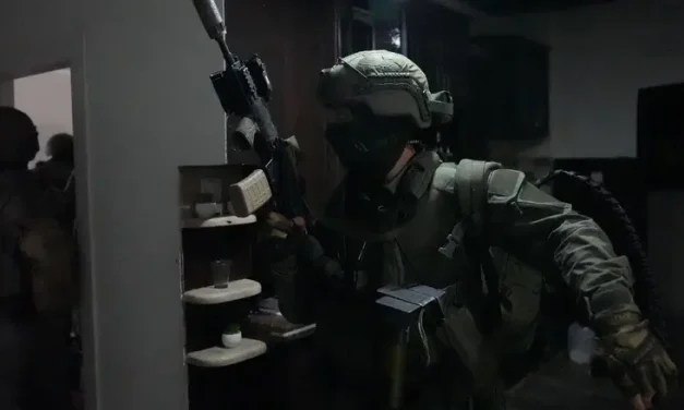 Bedouin agent brings down weapons smuggling network in massive operation
