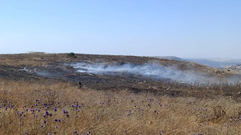 Terrorist filmed setting four fires in Binyamin and escaping to Sinjil