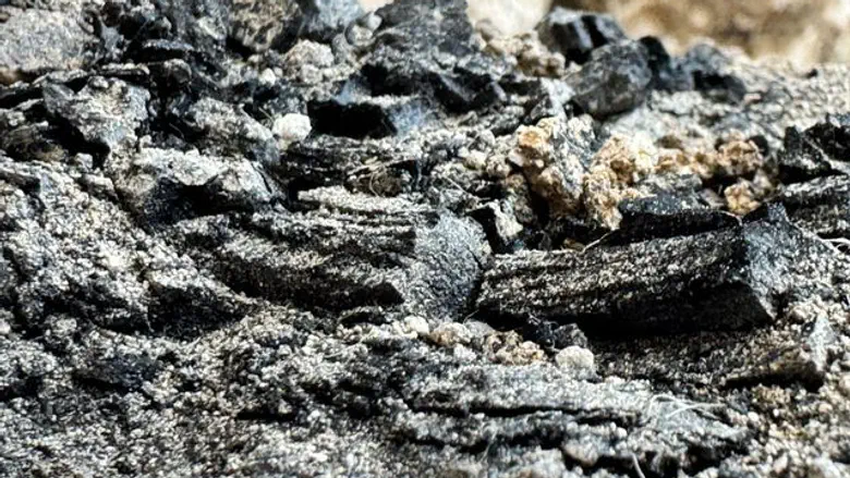Just before Tisha B’Av: Burnt wooden beams from First Temple Period discovered