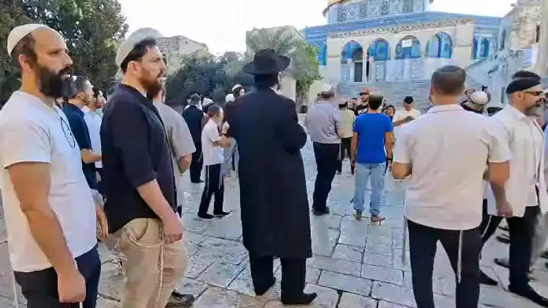 Watch: Song and prayer on the Temple Mount