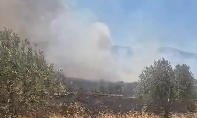 Fire breaks out near Elon Moreh in Samaria