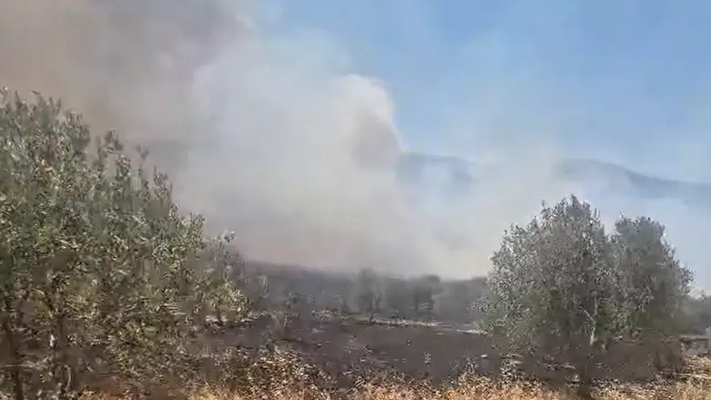 Samaria fire determined to be arson attack