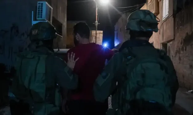 IDF: Over 70 wanted suspects arrested across Judea and Samaria
