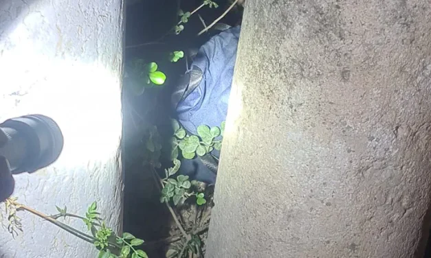 Suspicious object neutralized outside MK Avi Maoz’s home