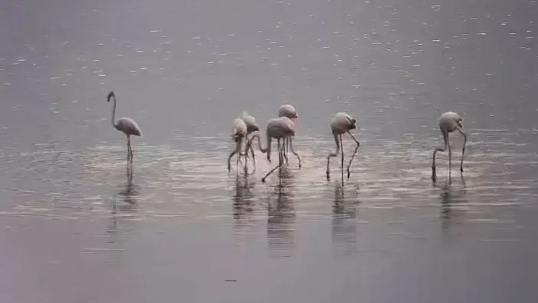 Watch: Despite the heat, signs of autumn at Hula Lake Park