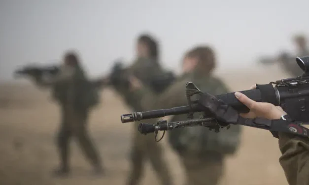 IDF announces second soldier suicide in days
