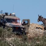 Violence by extremist Israelis against Palestinians declined 25%, security data shows – exclusive