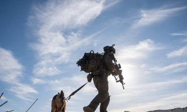 Two-week ceasefire intended to allow Hamas disarmament, launch peace deal, sources tell ‘Post’