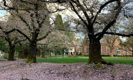 Reed College agrees to sweeping reforms as part of Title VI antisemitism settlement